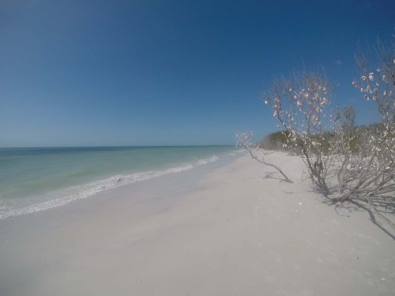 Caladesi Island State Park — photo 1