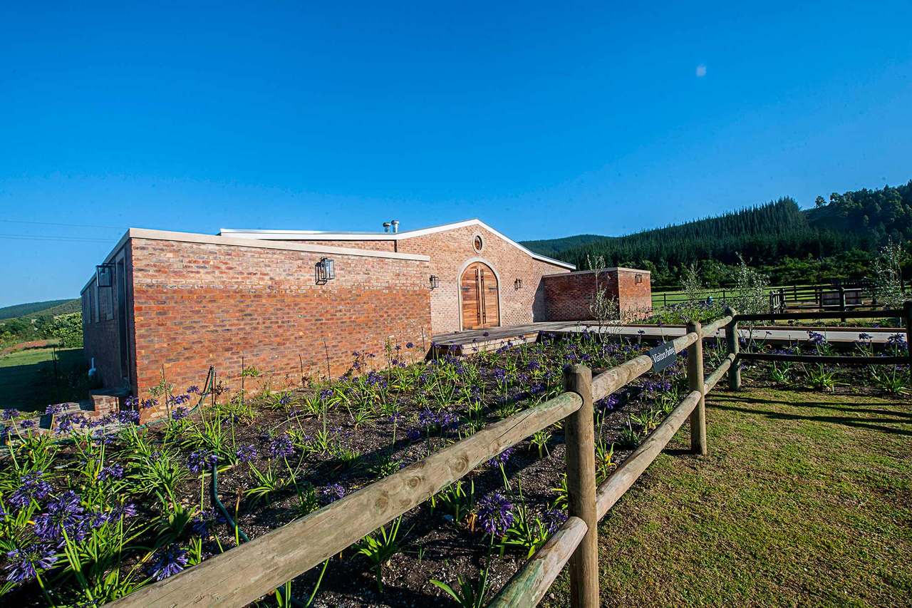 Kay & Monty Vineyards — photo 1