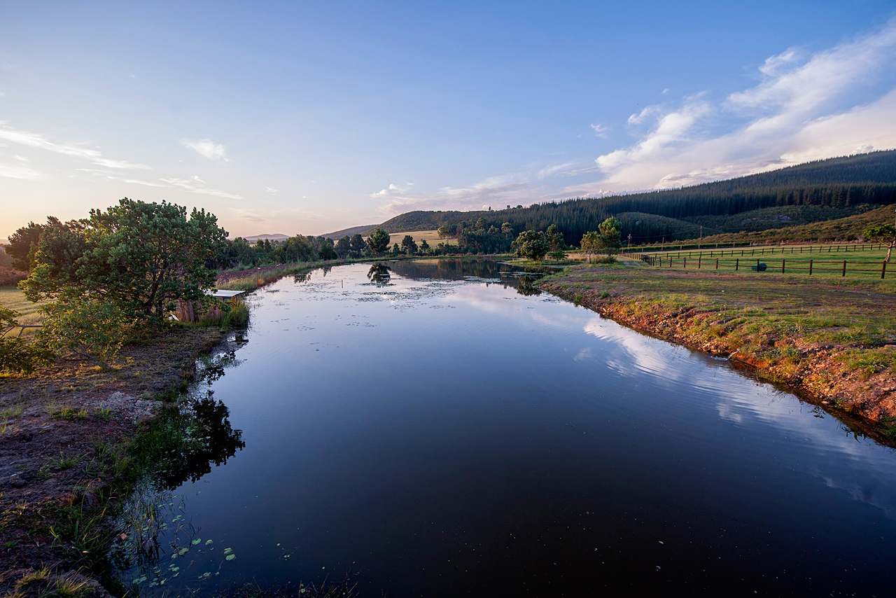 Kay & Monty Vineyards — photo 2