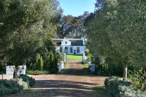 La Bri Wine Estate — photo 2