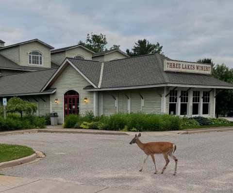Three Lakes Winery — photo 2