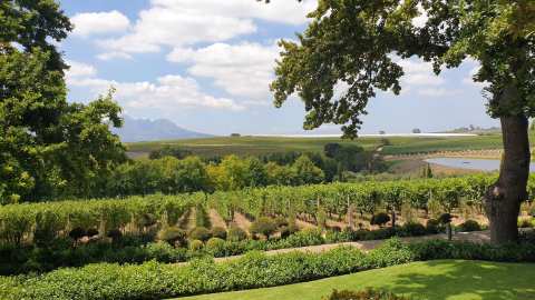 DeMorgenzon Stellenbosch — photo 3
