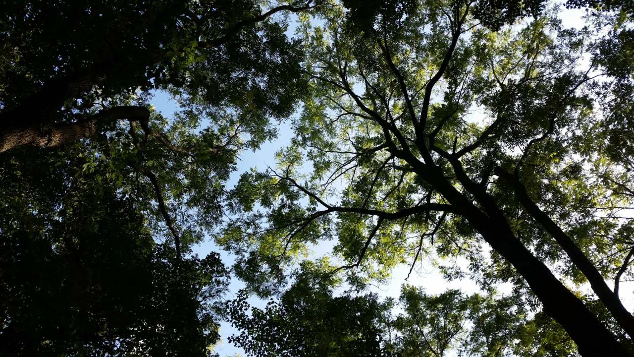 Equi-Tree Farm — photo 1