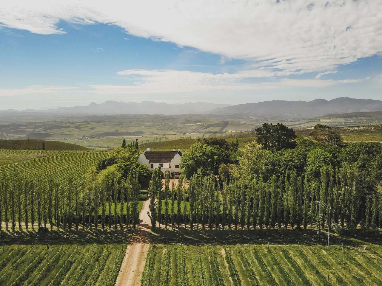 Iona Wines — photo 1