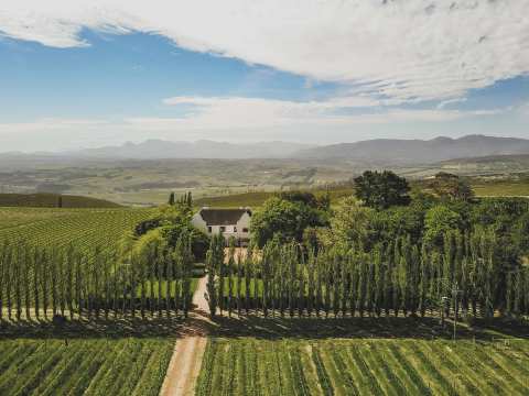 Iona Wines — photo 2